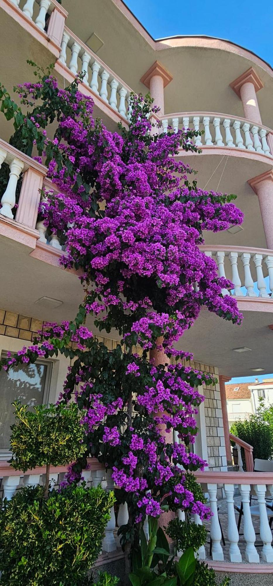 Kurt Apartaments Ulcinj Buitenkant foto